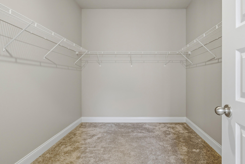 8558 Dahlia Circle - Photo 9