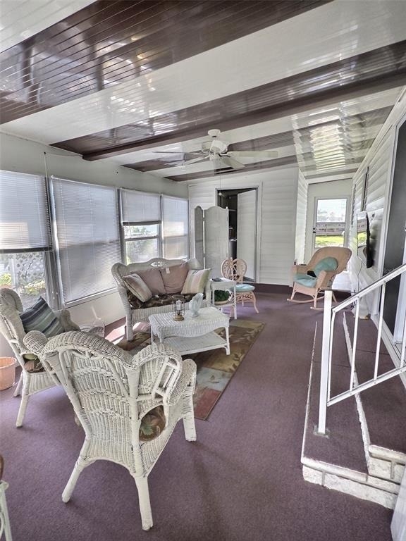 46 Palm Forest Drive - Photo 5