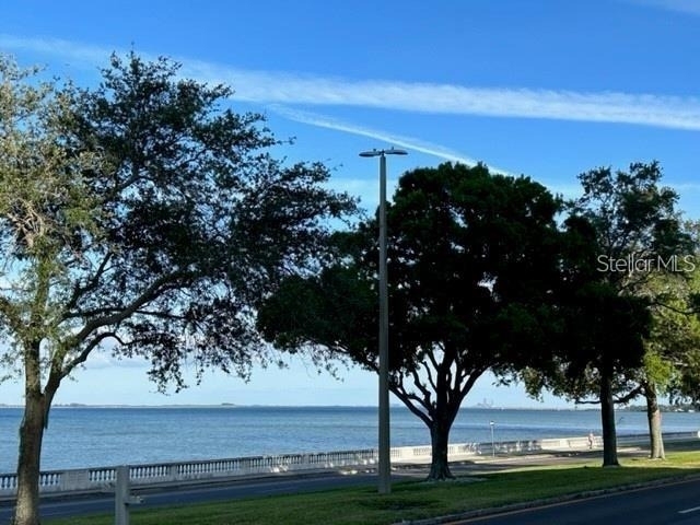 4015 Bayshore Boulevard - Photo 20
