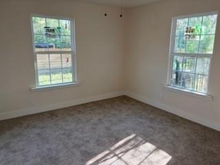7305 Anderson Boulevard - Photo 10
