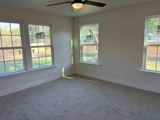 7305 Anderson Boulevard - Photo 9
