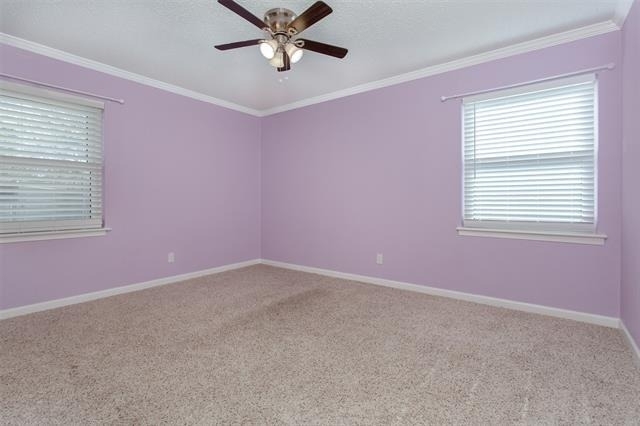 926 Powell Road - Photo 14