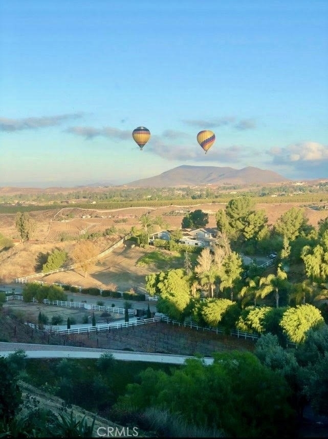 37645 Via De Los Arboles - Photo 32