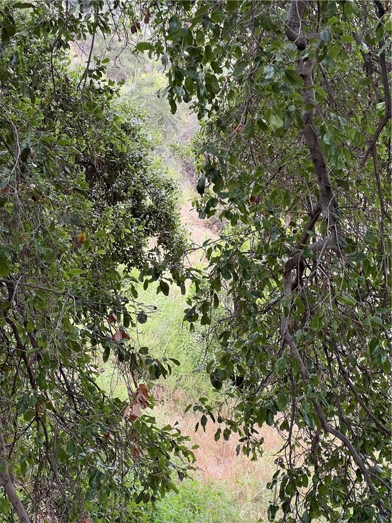 29716 Jackson - Photo 13