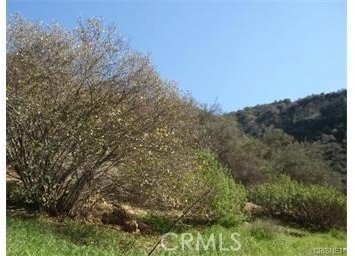 29716 Jackson - Photo 4