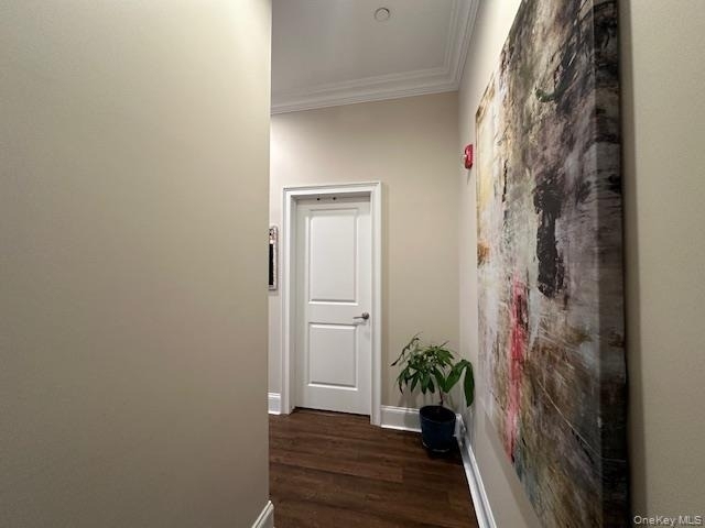 50-2k Stewart Avenue - Photo 10