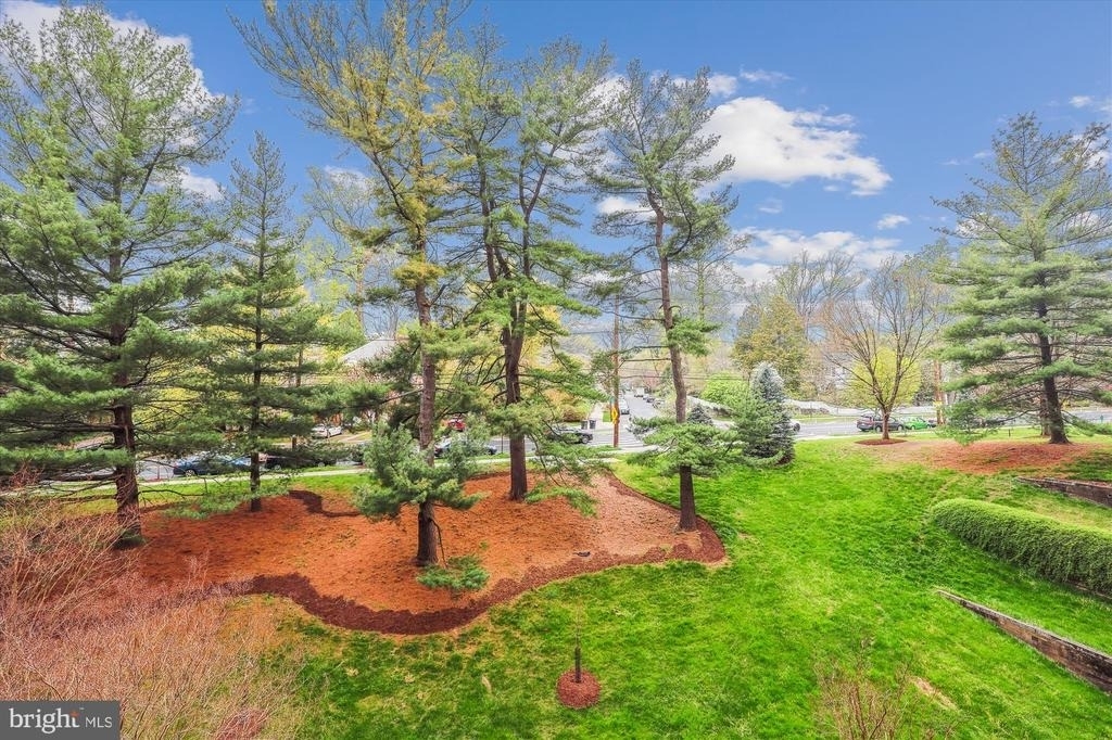 4201 Cathedral Avenue Nw - Photo 2