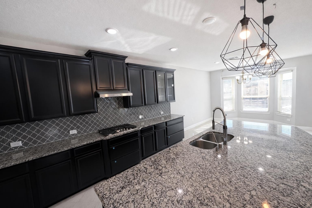 2406 Trocadero Lane - Photo 13