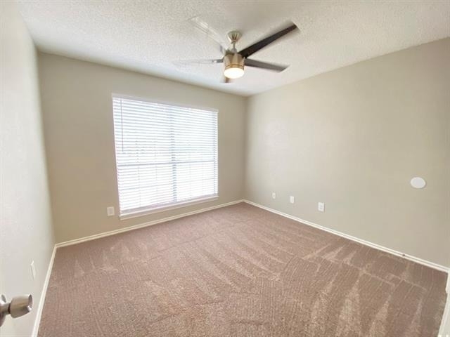 3704 Fairhaven Drive - Photo 14