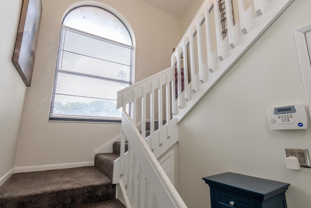 10624 Tropic Palm Avenue - Photo 3