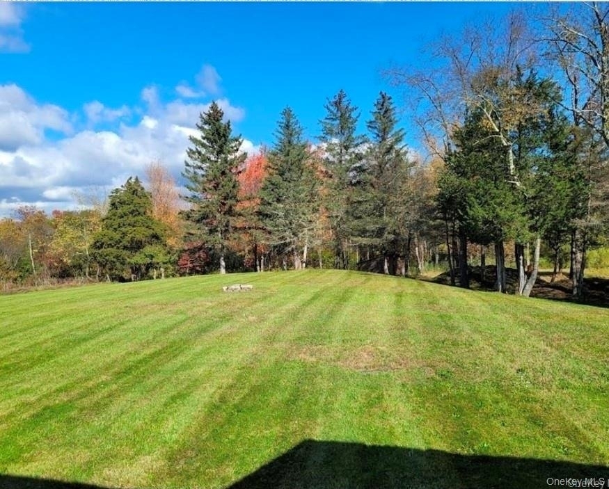 2115 Route 55 - Photo 2