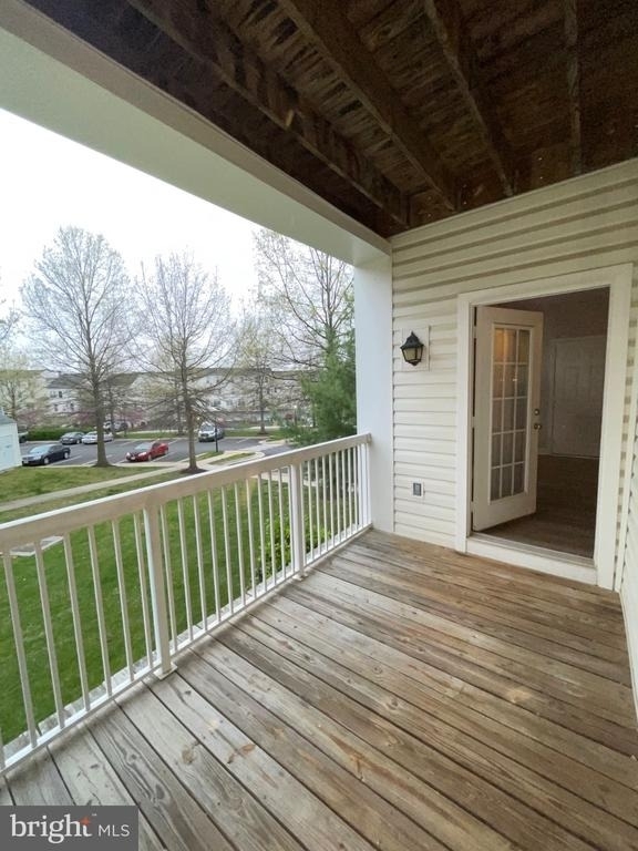 22641 Blue Elder Terrace - Photo 3