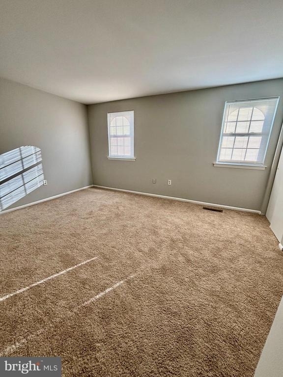 4703 St Denis Drive - Photo 11