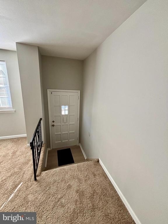 4703 St Denis Drive - Photo 1