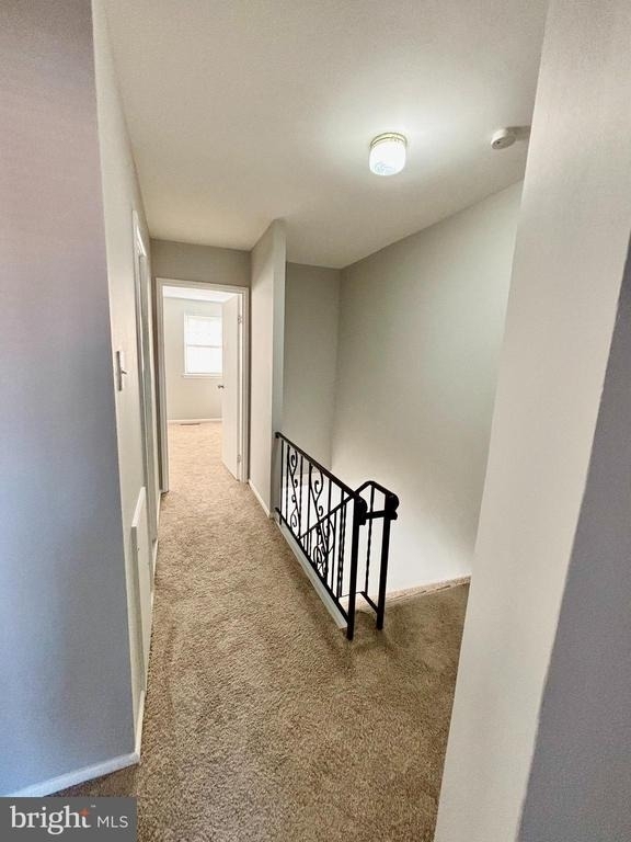 4703 St Denis Drive - Photo 13