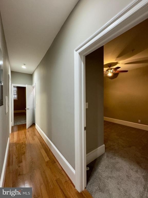 7 W Mulberry Street - Photo 12