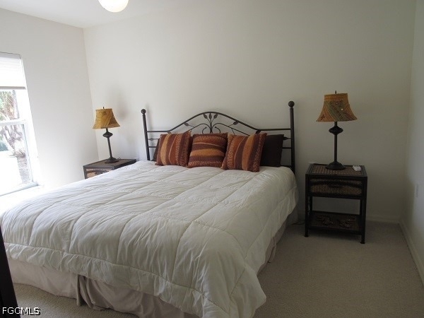 10537 Washingtonia Palm Way - Photo 18