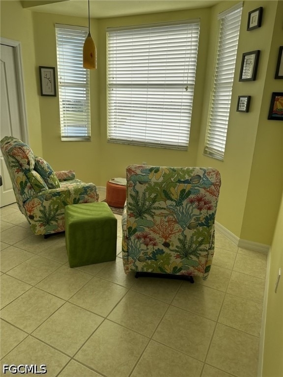 10361 Butterfly Palm Drive - Photo 12