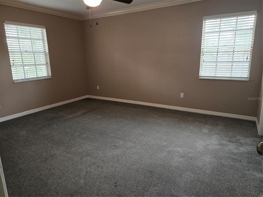 10350 Carrollwood Lane - Photo 9