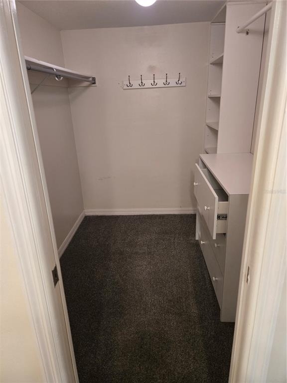 10350 Carrollwood Lane - Photo 12