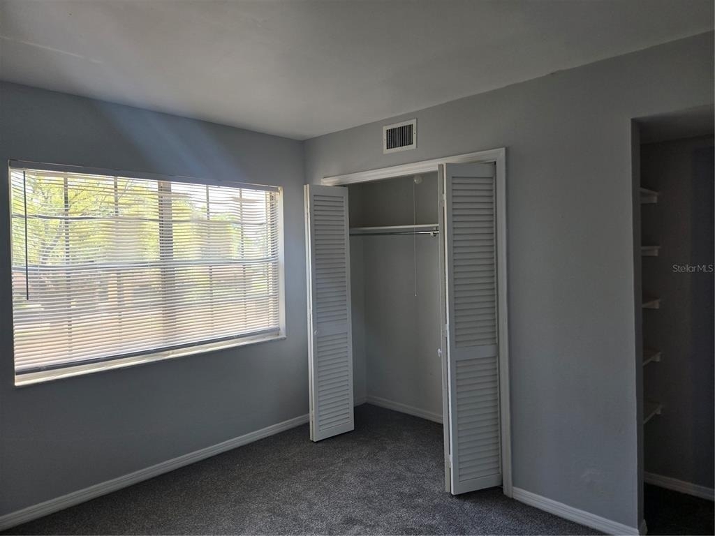 10342 Carrollwood Lane - Photo 13