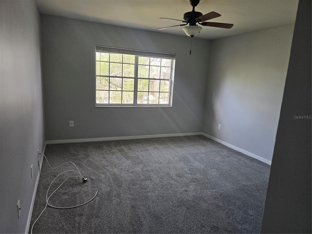 10342 Carrollwood Lane - Photo 8