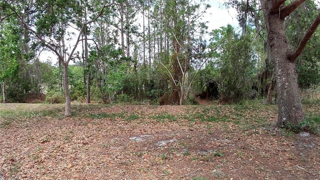 3842 Stonefield Drive - Photo 11
