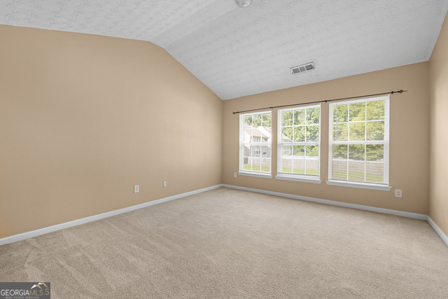 6225 Shenfield Lane - Photo 11