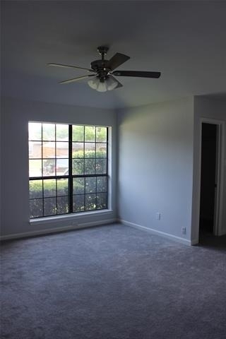 812 Shannon Drive - Photo 9