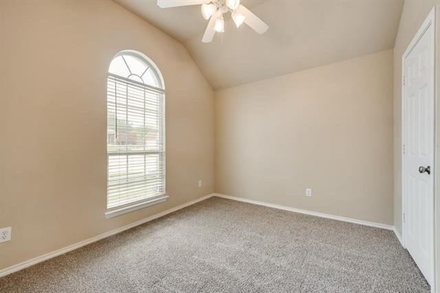 3121 Blue Sage Drive - Photo 9