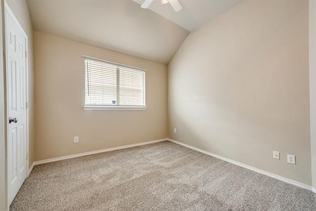 3121 Blue Sage Drive - Photo 11
