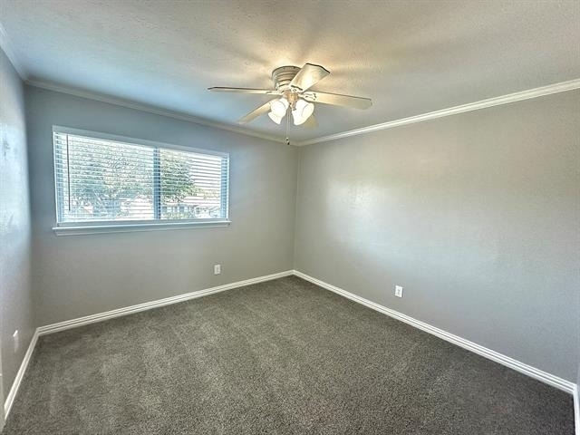4304 Jenny Lane - Photo 20