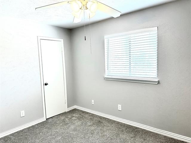 4304 Jenny Lane - Photo 15