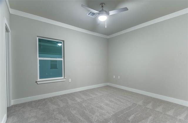 3325 Norris Street - Photo 14