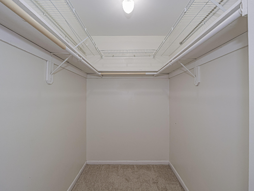 4890 Bethel Creek Drive - Photo 20