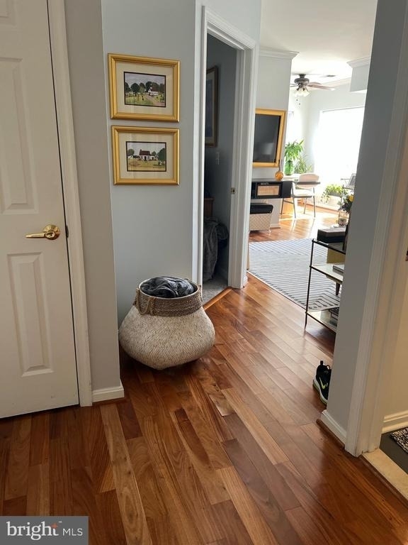 4561 Strutfield Lane - Photo 8