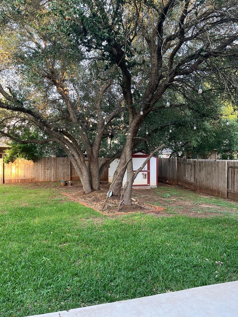 1029 Horseback Holw - Photo 0