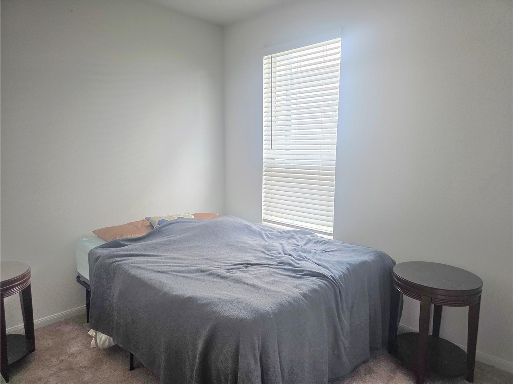 17806 Juneberry Seed Street - Photo 9