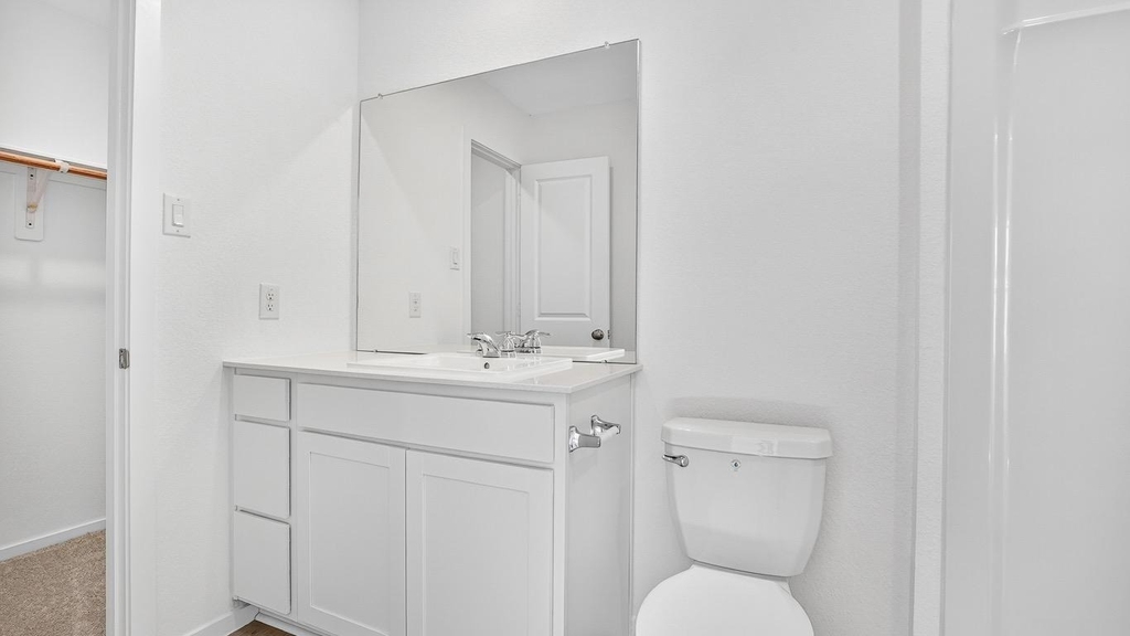 26911 Dalmatian Bellflower Drive - Photo 13