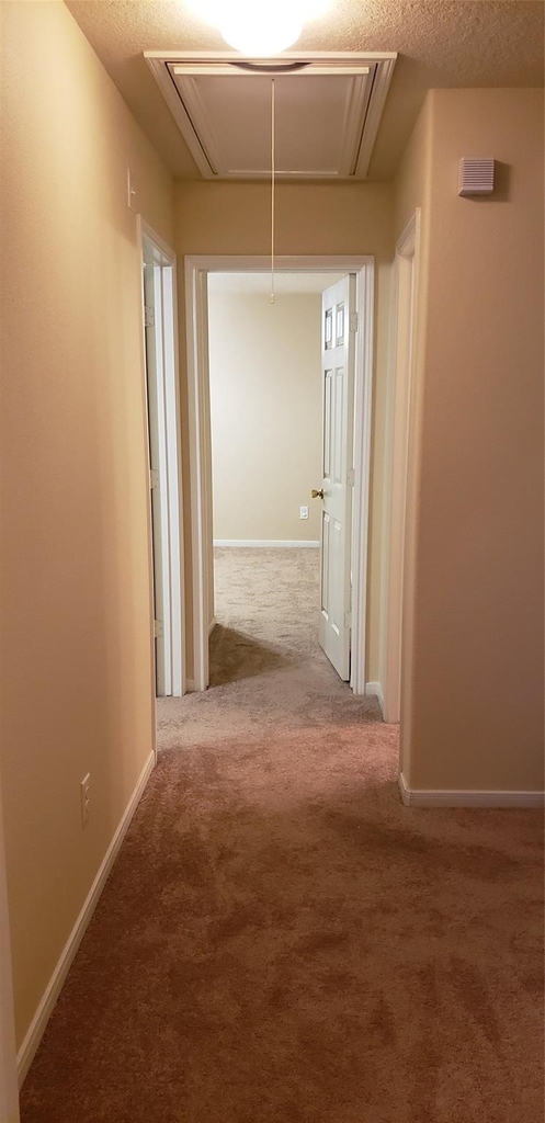 9923 Yearling Place - Photo 28
