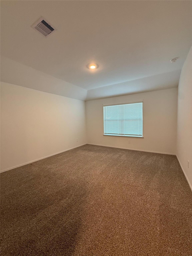 6007 Diamond Vista Court - Photo 13