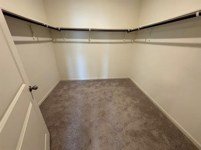 1517 Escondido Drive - Photo 17