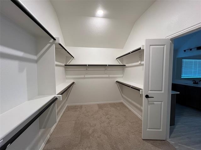 832 Blue Yucca Lane - Photo 15