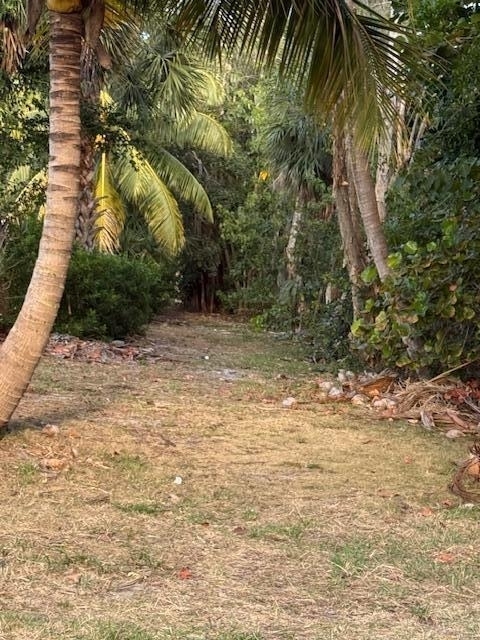1319 E Hillsboro Boulevard - Photo 32