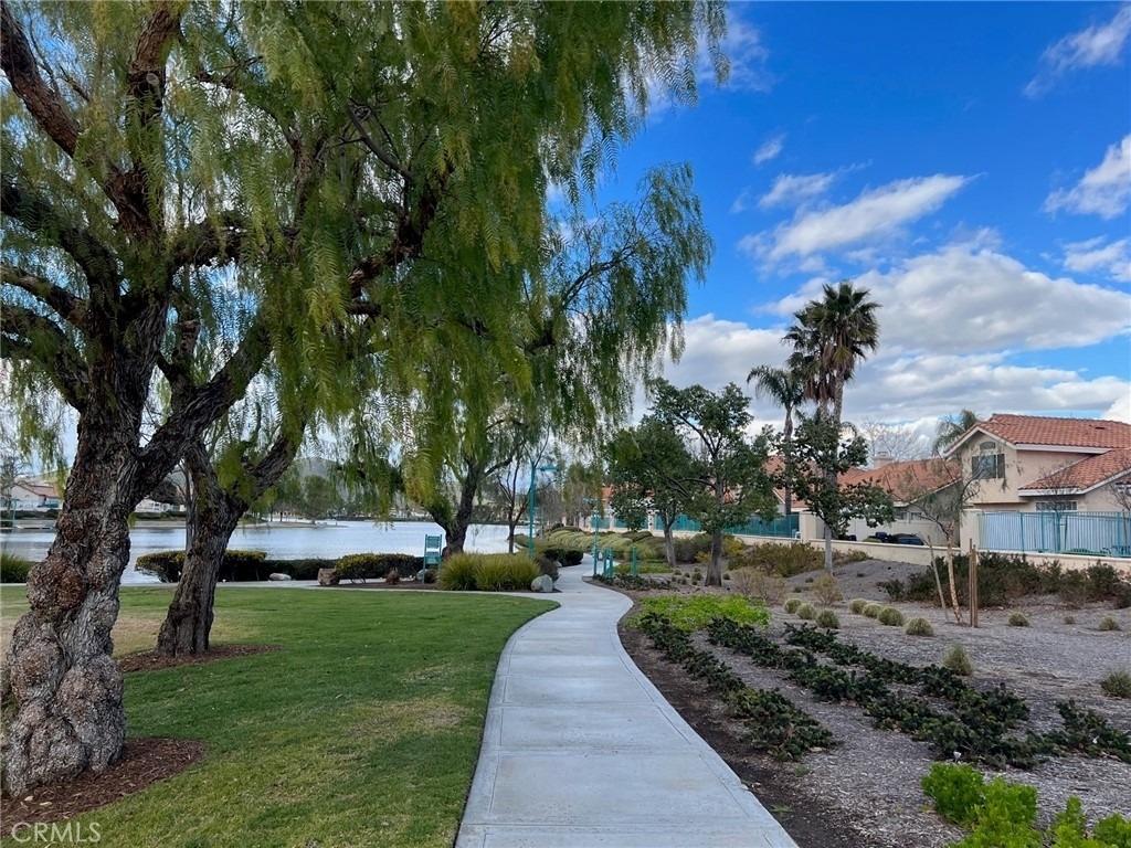 30665 Spring Deep Terrace - Photo 39