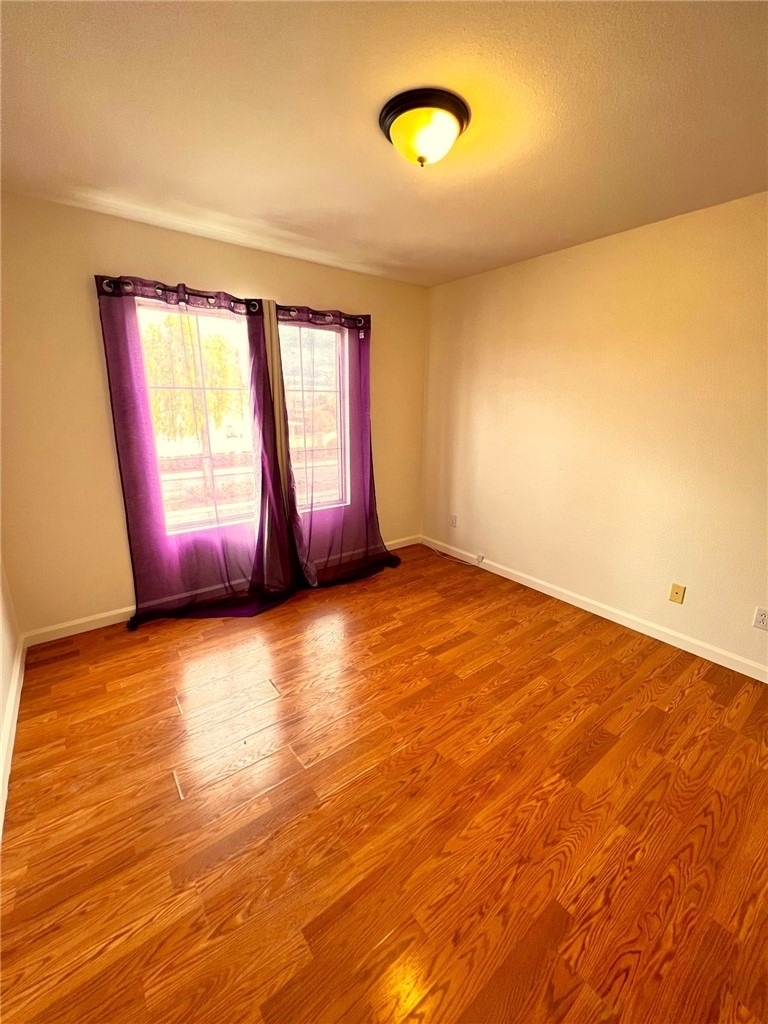 30665 Spring Deep Terrace - Photo 59