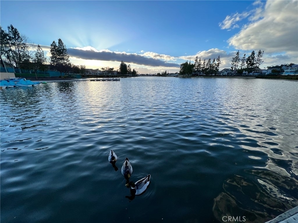30665 Spring Deep Terrace - Photo 41