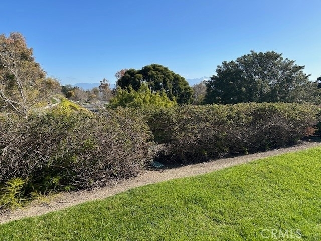 4025 Calle Sonora Este - Photo 1