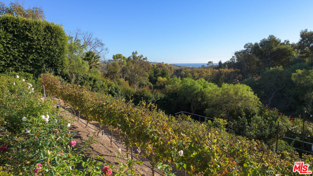 6110 Merritt Drive - Photo 46