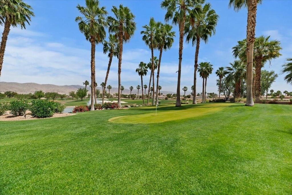 81916 Avenida Del Toro - Photo 34